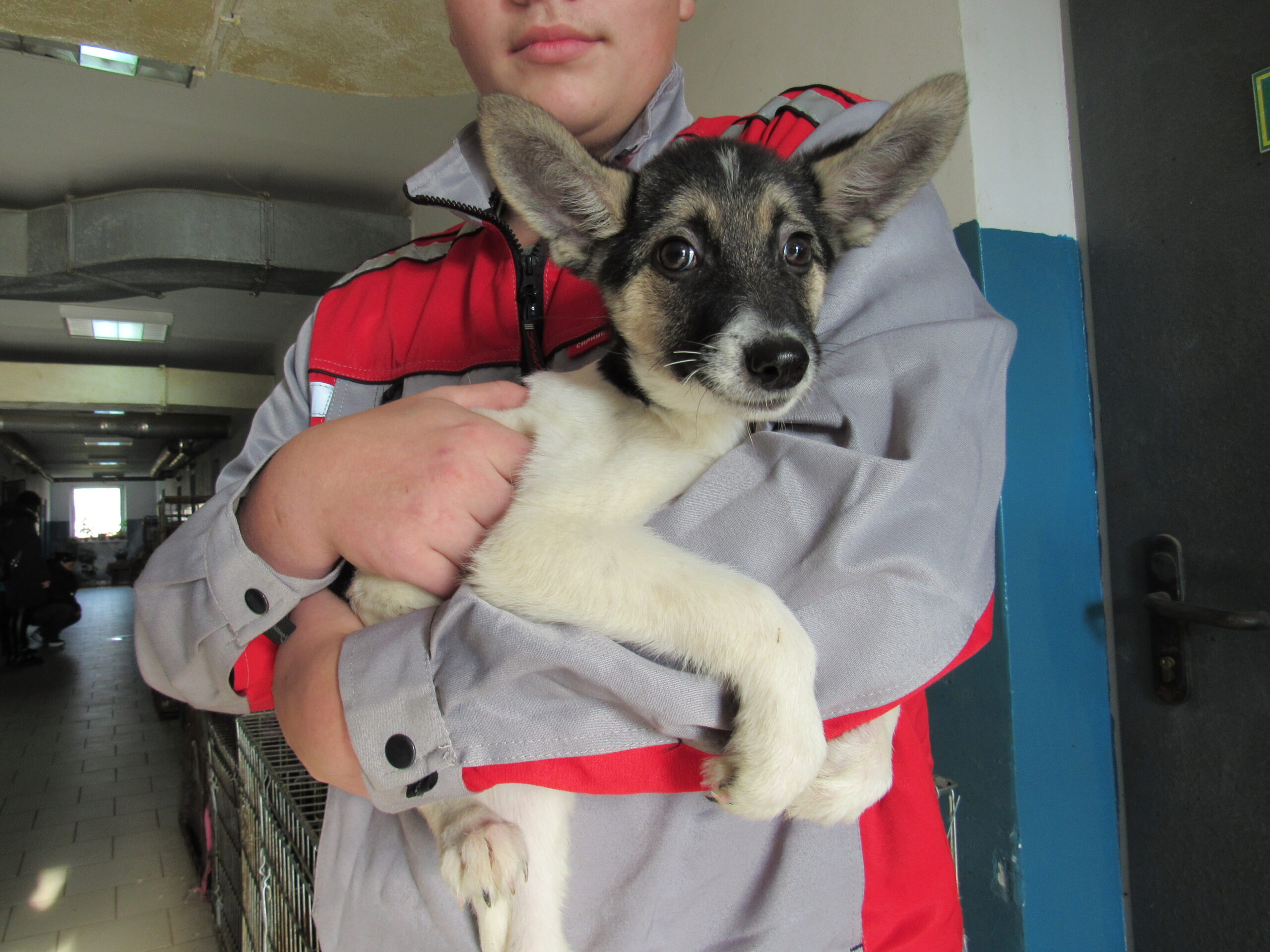 IMG_20231031_100253_681