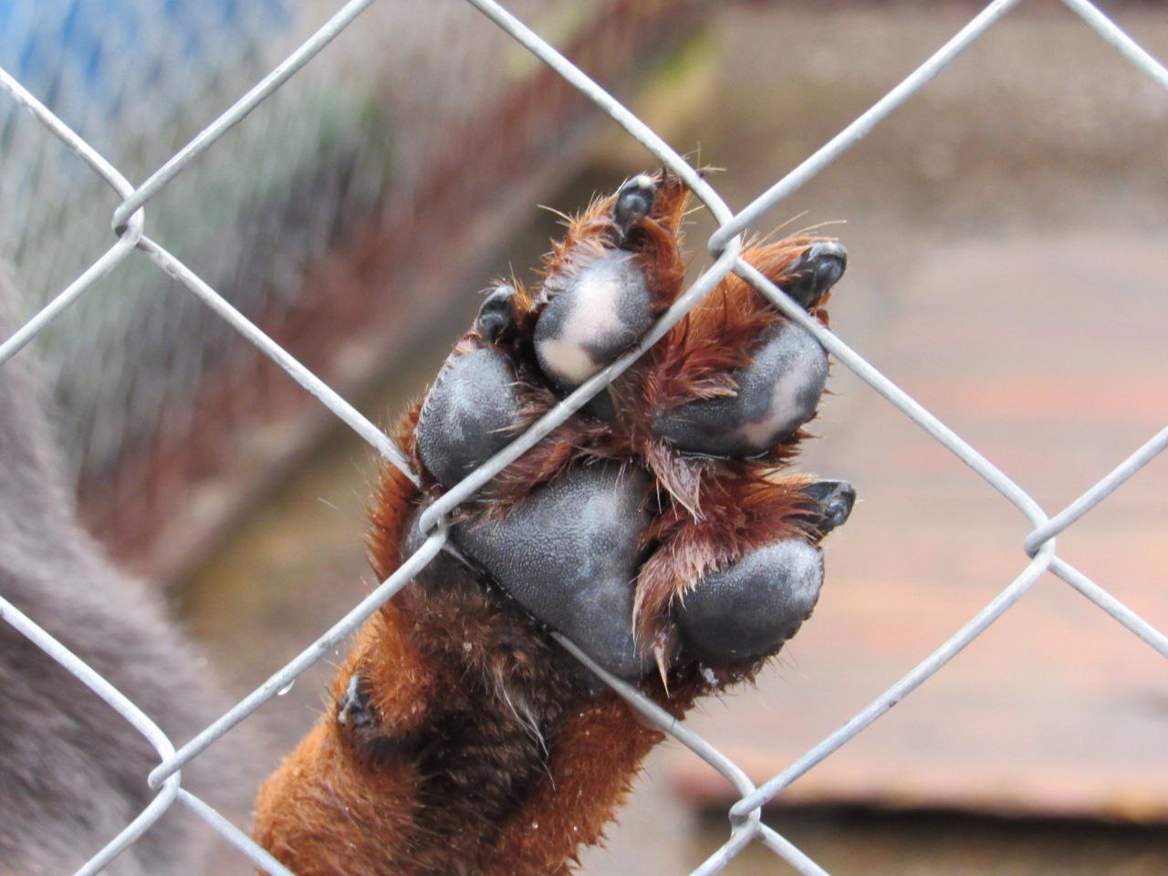 IMG_20231031_100303_445