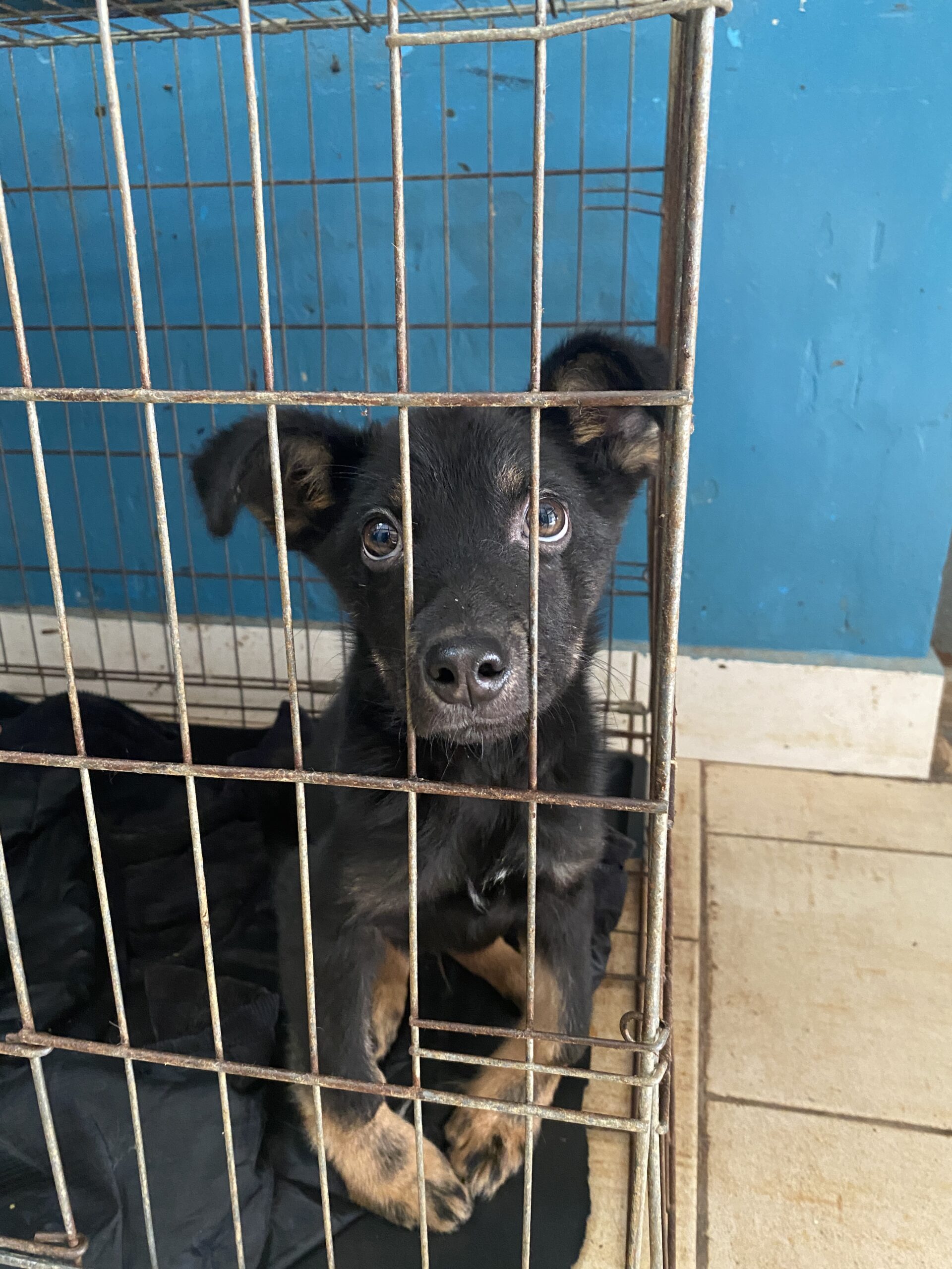 IMG_20231031_100407_918