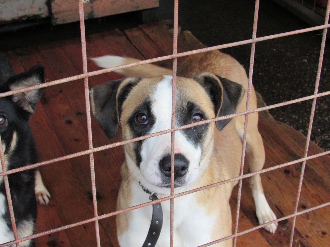 IMG_20231031_100526_847