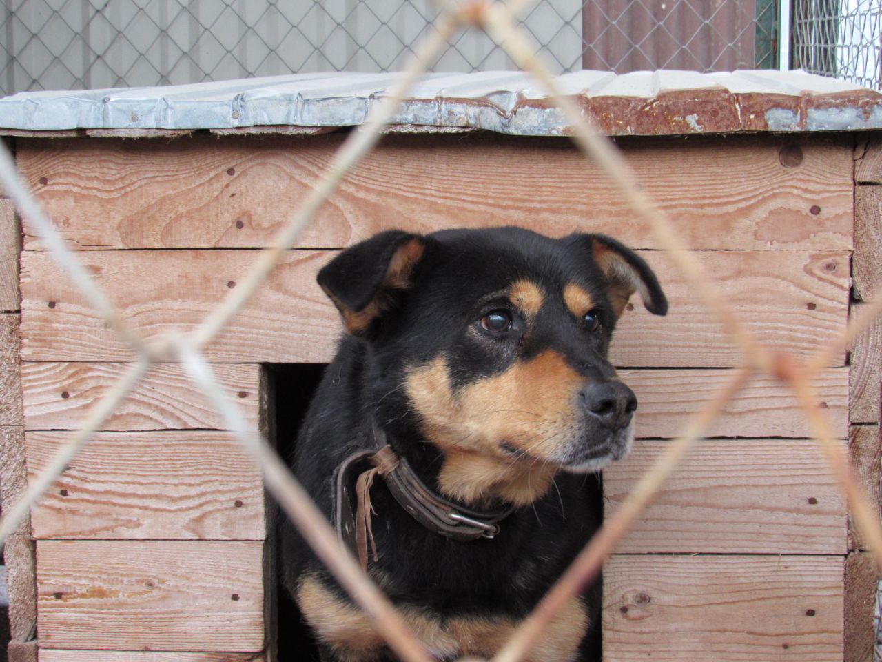 IMG_20231031_100542_886