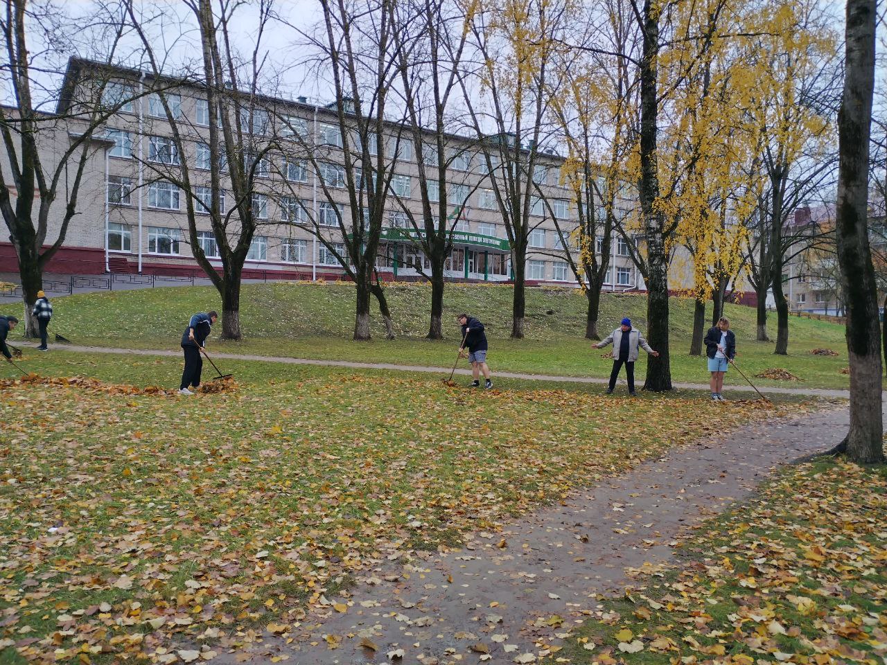 IMG_20231103_083010_386