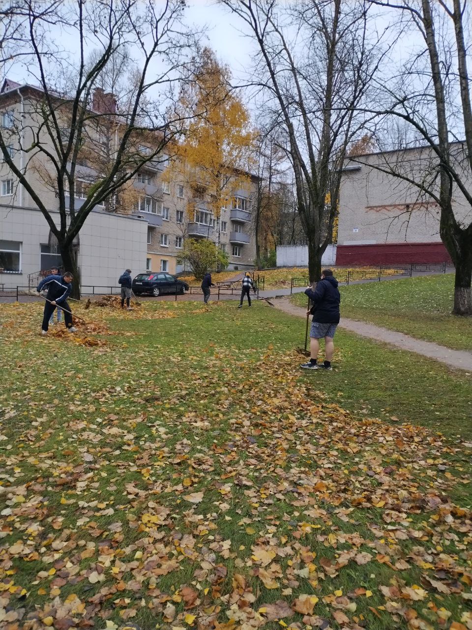 IMG_20231103_083010_719