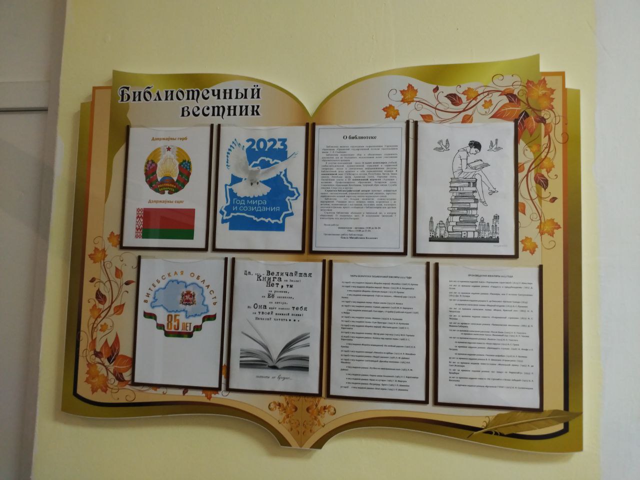 IMG_20231103_084315_793