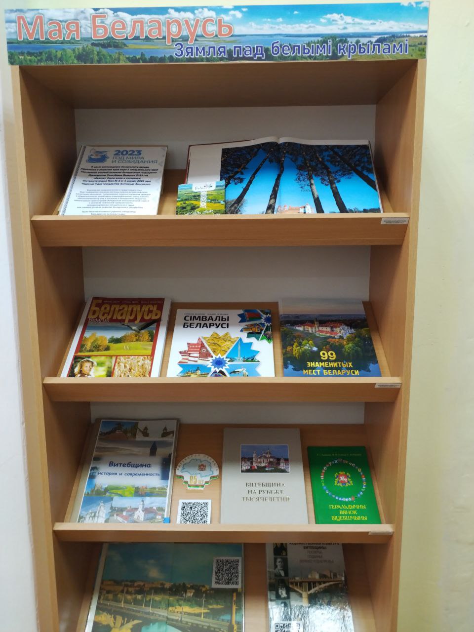 IMG_20231103_084315_944