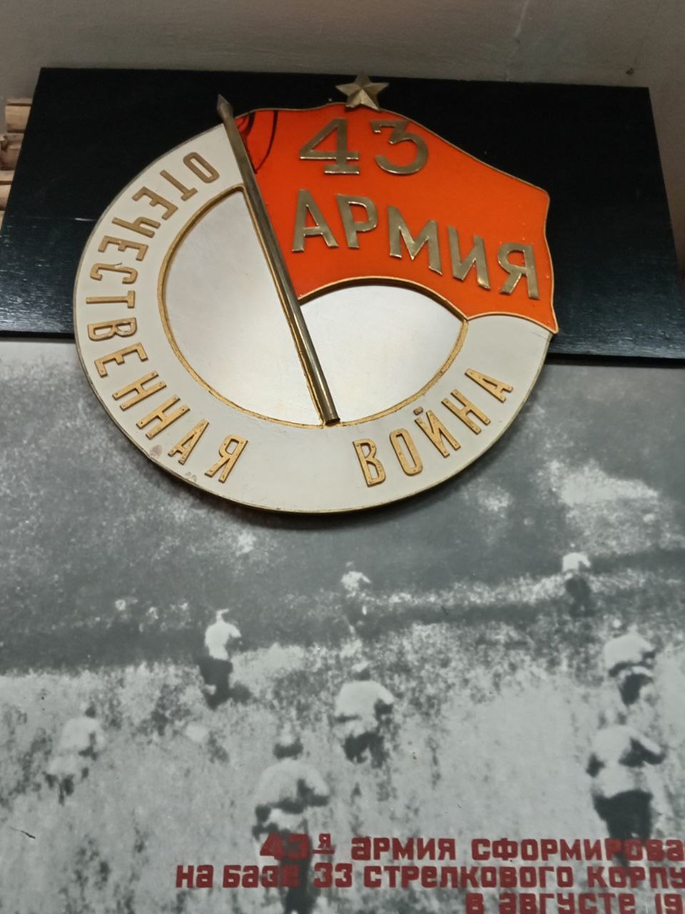 IMG_20240219_083601_473