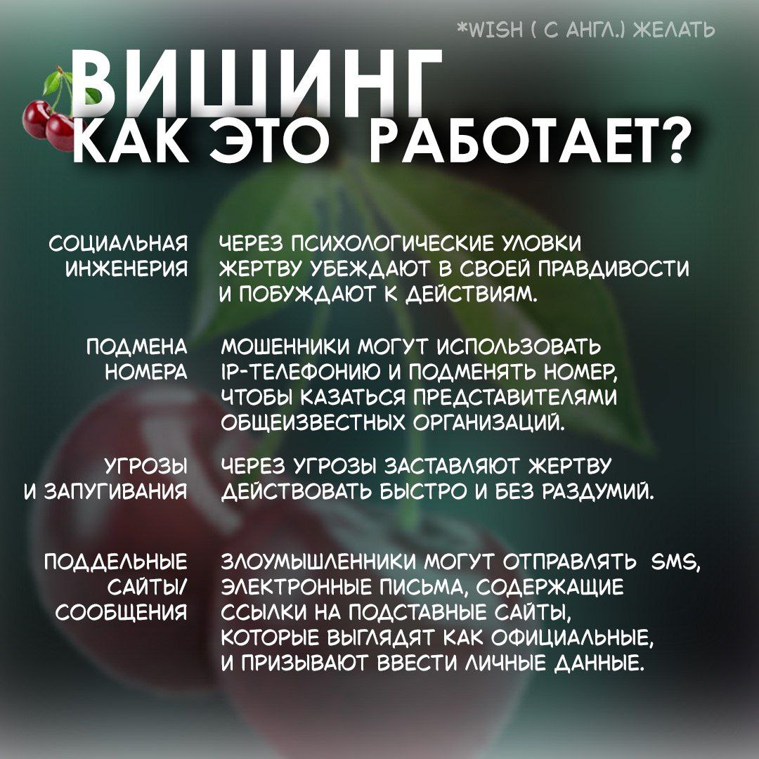 photo_5210952437643474100_y